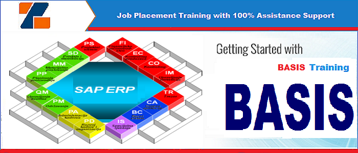 Best ERP Basis training institute in noida