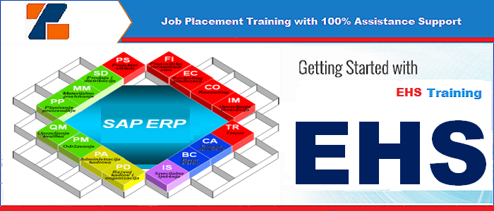 Best ERP EHS training institute in noida