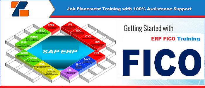 Best ERP FICO training institute in noida