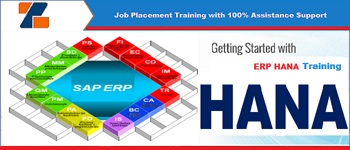 Best ERP HANA training institute in noida