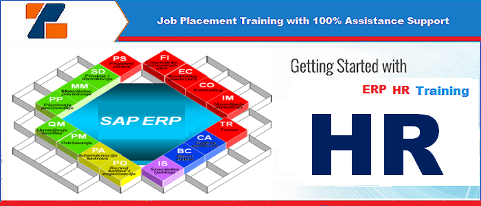 Best ERP HR training institute in noida
