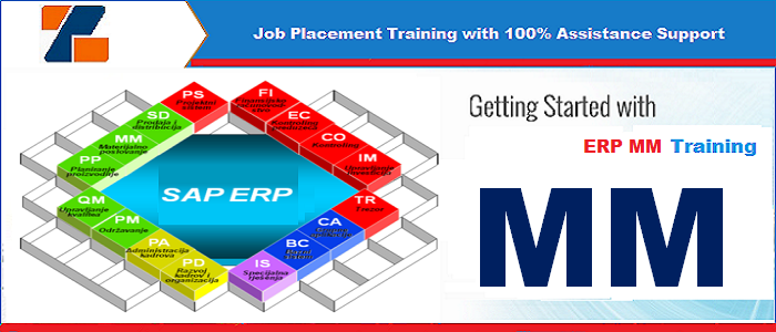 Best ERP MM training institute in noida