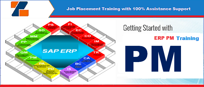 Best ERP PM training institute in noida