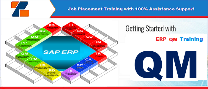 Best ERP QM training institute in noida
