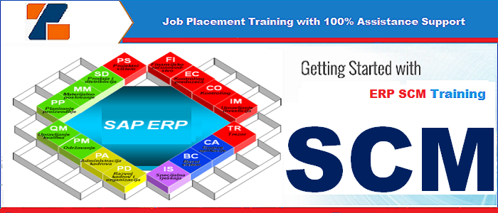 Best ERP SCM training institute in noida