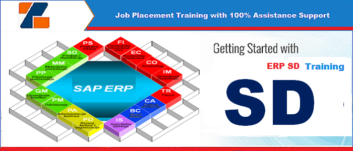 Best ERP SD training institute in noida