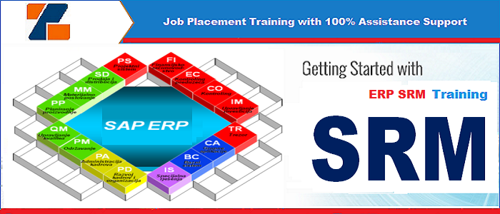 Best ERP SRM training institute in noida