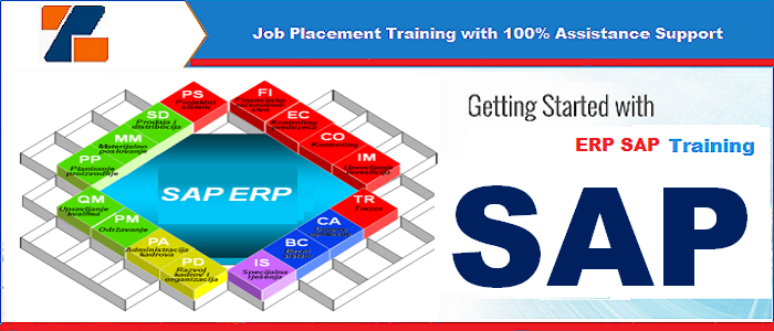 Best live project 6 weeks Summer Training on erp in Noida