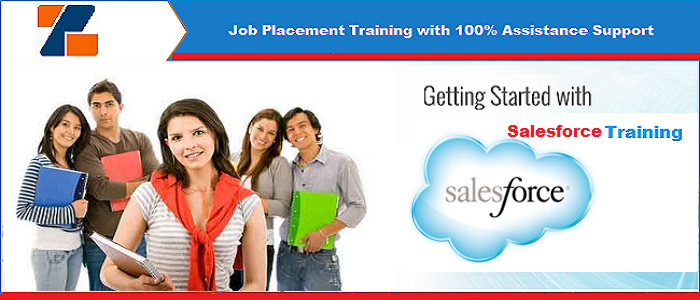 Best SalesForce training institute in noida