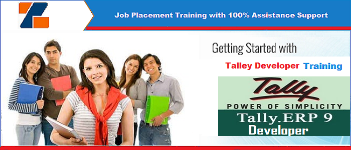 Best Tally Developer training institute in noida